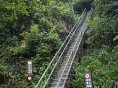 -茅兰沟国家森林公园