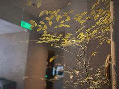 -元古雲境(太古里店)