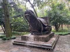 -灵谷景区