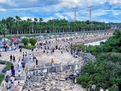 -宝安西湾红树林湿地公园