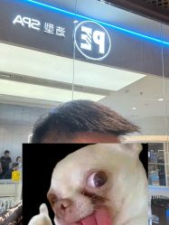 -PE SALON