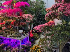 -三旗百汇商品城