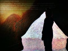 -印象莫奈时光映迹艺术展