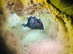 -湖南省地质博物馆