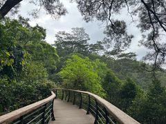-深圳仙湖植物园