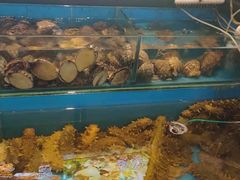 水产区-中苑海韵