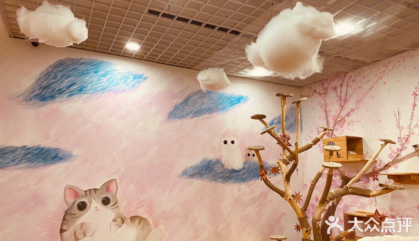 撸猫一时爽，一直撸猫一直爽！