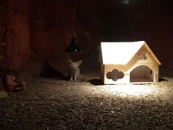 -酷嗒动物文化乐园(cutezoo西溪乐天城店)