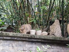 -平安桥天主教堂