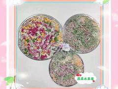 -爱月宝月嫂·育儿嫂(哈尔滨总店)