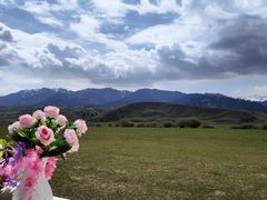 -新疆那拉提国家旅游度假区