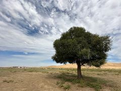 -亿利库布其七星湖沙漠生态旅游区