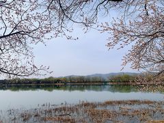 -颐和园