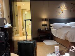 -成都保利公园皇冠假日酒店(熊猫基地店)