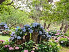 -名花谷生态庄园