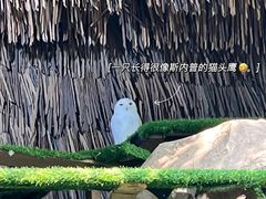 -广州长隆野生动物世界