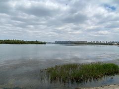 -丁香湖公园