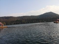 -西湖外事游船(花港观鱼码头)