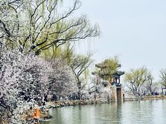 -颐和园