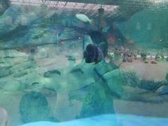 -波塞冬旅游度假区