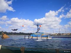 -秦皇岛乐岛海洋王国