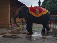 -云南民族村
