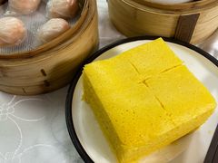 -御景酒店