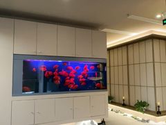 -宫七SPA·高端Massage(浦东大道店)