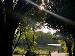 -新荣记(西溪湿地店)