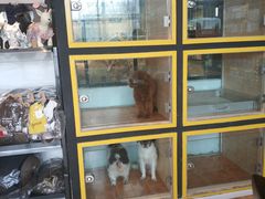 -西元前宠物酒店(郑庄府邸店)