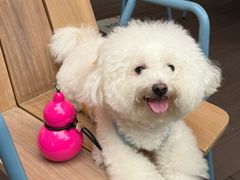 -Grande A'moo(上海万象城店)