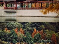 -重庆彩云湖湿地公园