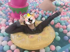 -水王国温泉水世界