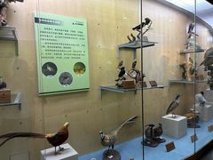 -陕西自然博物馆