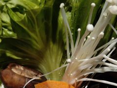 -呷哺呷哺(松江开元店)