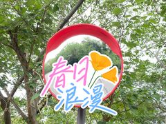 -南京市江宁方山