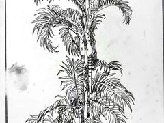 -莲花国际广场