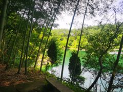 -仙岛湖旅游风景区