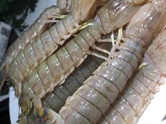 -加餐海鲜自助(宝龙一城店)