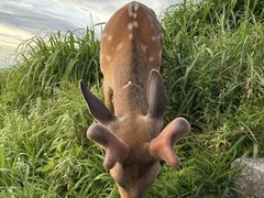-萍乡武功山风景名胜区
