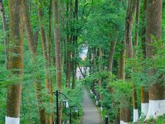-鹤鸣山