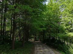 -新江湾城公园