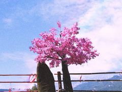 -东莞观音山旅游风景区