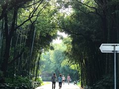 -苏州河梦清园环保主题公园