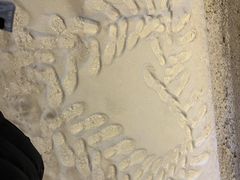 -采薇庄园四季滑雪场