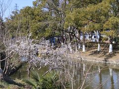 -太子山公园(园东路)