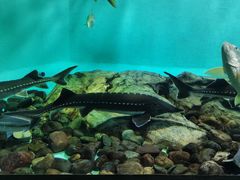 -太平洋海底世界