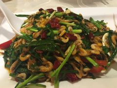 -金龙寨(解西店)