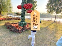 -黄河富景生态世界