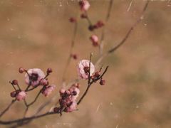 -蜀冈西峰生态公园